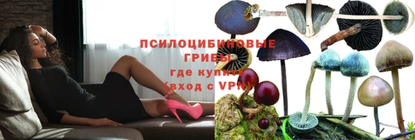 марки nbome Беломорск