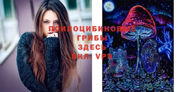 марки nbome Беломорск