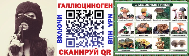 купить наркоту  Волосово  Псилоцибиновые грибы прущие грибы 